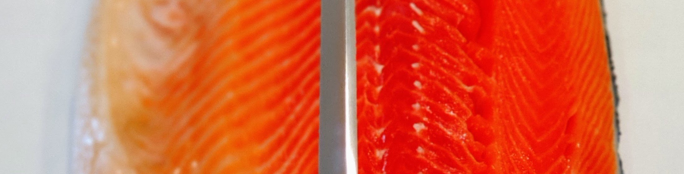 A knife being held against a salmon filet, showing what an "across the grain" orientation means